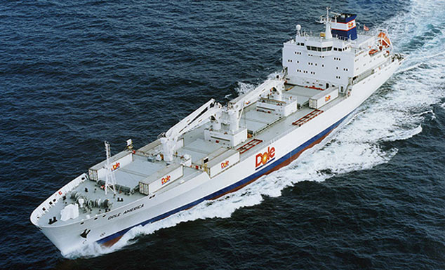Dole has the largest dedicated refrigerated containerized fleet in the world, with eleven owned and twelve chartered vessels. Dole America is pictured.