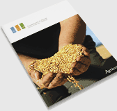 2008 Annual Report