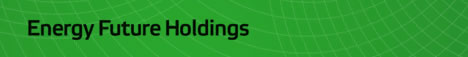 Energy Future Holdings Web Site