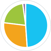 A pie chart expressing the revenue mix by business type: Food and Beverage at 49%; Institutional and Laundry at 28%; Protective Packaging at 21%; and, Other at 2%