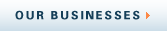 Our Businesses