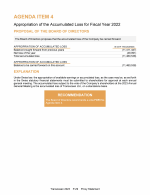 Agenda Item 4. Appropriation of the Accumulated Loss for Fiscal Year 2022