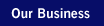 Our Business