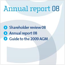 2008 Annual report