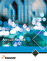 2012 Annual Report