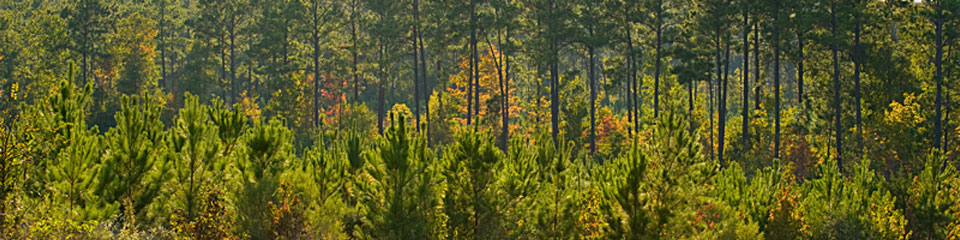 Investor Information Banner