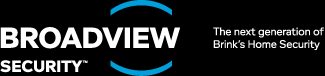 bvs logo