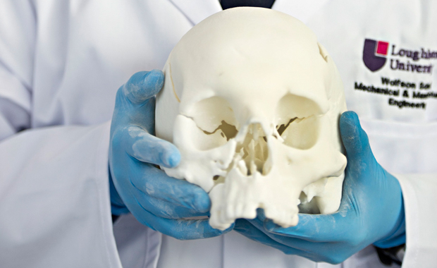 Professor Russell Harris with the replica skull. - ©Andrew Weekes Photography