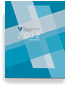 Annual Reports Icon