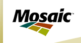 Mosaic