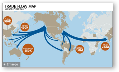 Trade Flow Map