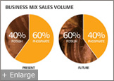 Business Mix Sales Volume Pie Chart