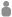 Committee Member