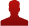 Committee Member