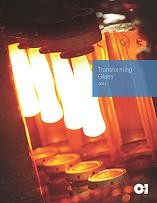 2011 AR Brochure Cover