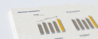 Annual Report 2010