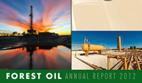 2011 Annual Report