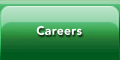Career