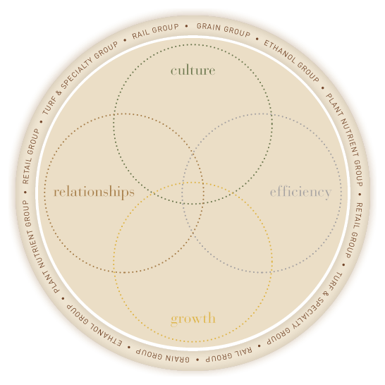 4 circle venn diagram