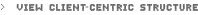 View Client-Centric Structure