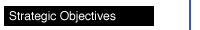 Strategic Objectives