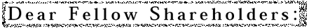 Dear Fellow Shareholders