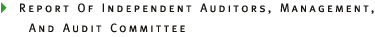 Report Of Indpendent Auditors, Management, and Audit Committee