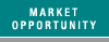 Market Opportunity page