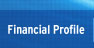 financial profile