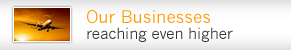 Our Businesses