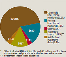 2008 Consolidated Revenues