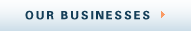 Our Businesses