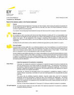 Report of the Statutory Auditor on the Financial Statements