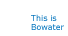 This is Bowater