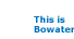 This is Bowater