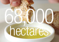 68,000 hectares
