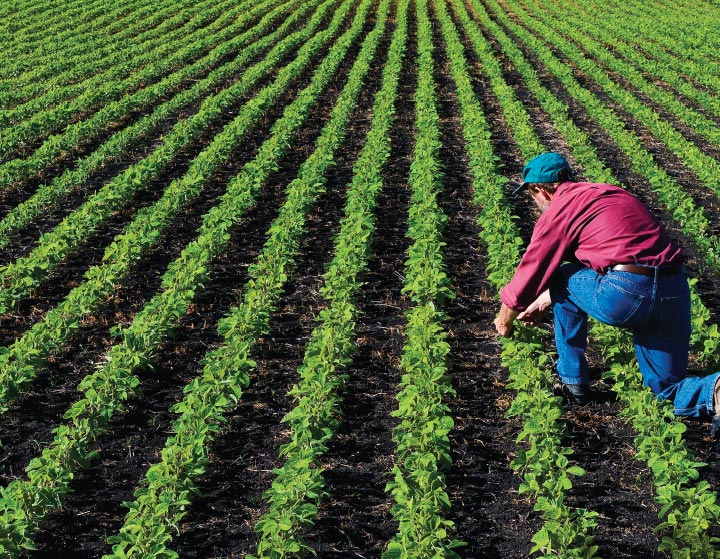 Photo of man working in field