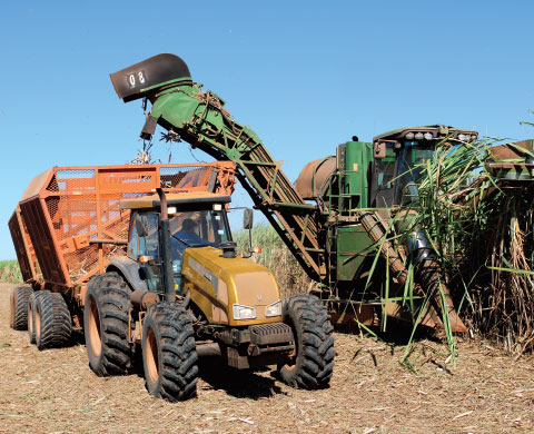 mechanized sugarcane harvesting