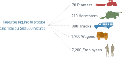 Resources required to produce 
cane from our 280,000 hectares infographic