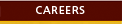 Careers 