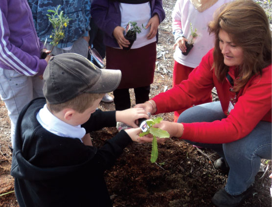 Tree planting activities with Bunnings Malaga team members in Western Australia.
