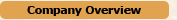 Company Overview