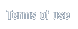 Terms of Use