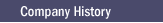 Company History