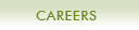 Careers