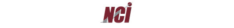 NCI, Inc. Web Site