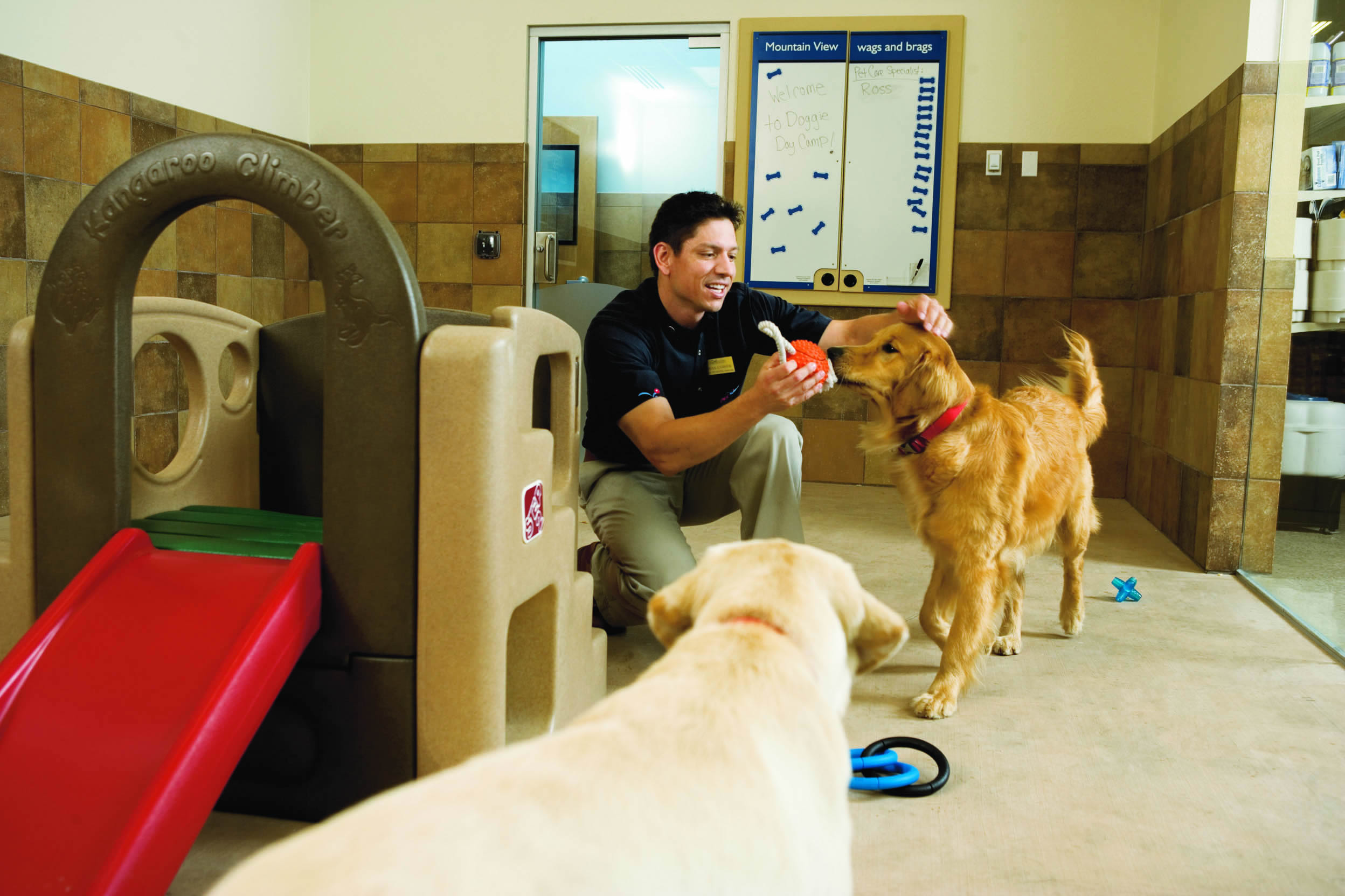 Petsmart Boarding Littleton at Fields blog