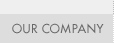 Our Company