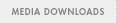 Media Downloads