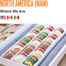 North America (NAM)